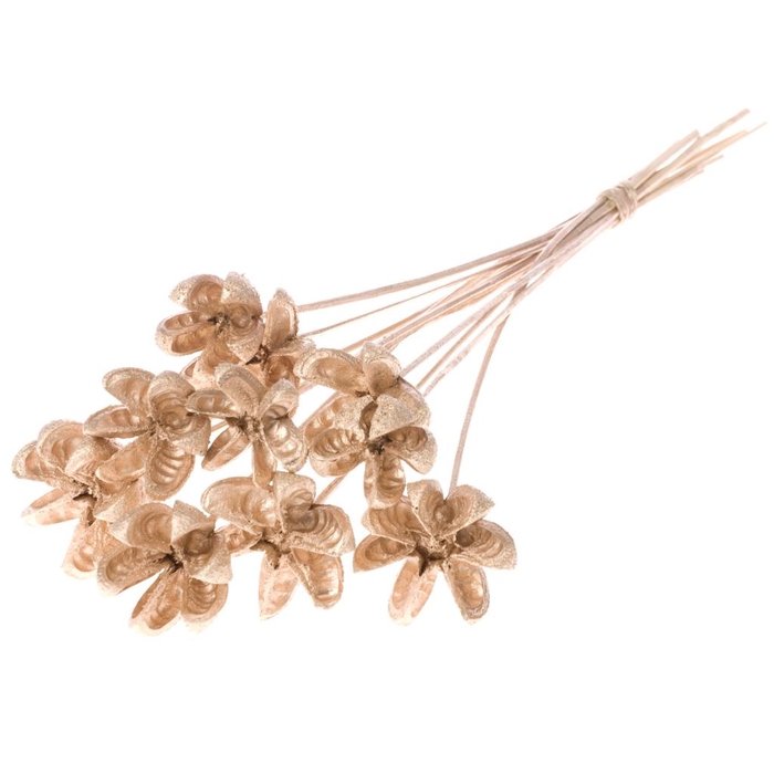 <h4>Cartoos Flower O/s W.gld</h4>