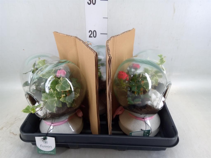 <h4>Arr.    Planten  H%</h4>