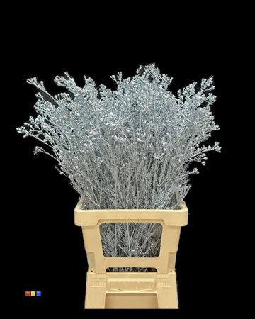 <h4>Waxflower Metallic Light Blue</h4>