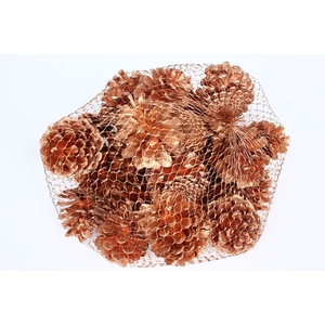 Pine cone 500gr in net Copper