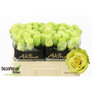 R Gr Green Generatio