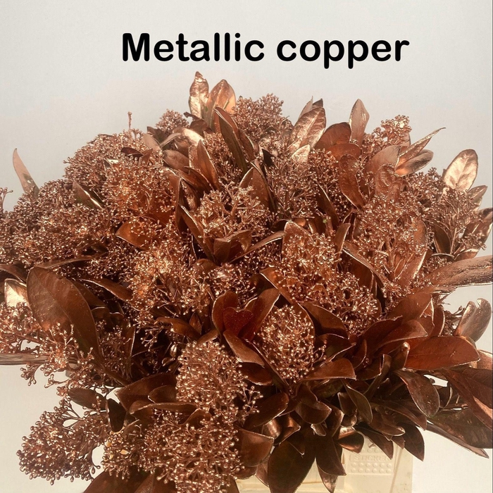 <h4>SKIM OV BS KLB H%</h4>