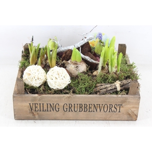 arr4 Bollenmix VL - Bollenkist 338/2