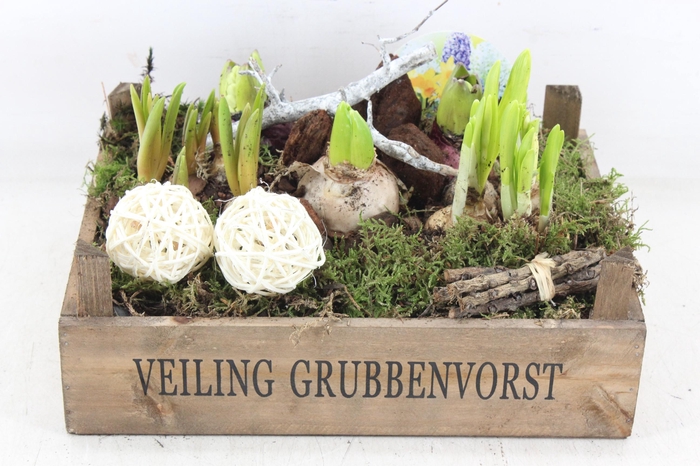 <h4>arr4 Bollenmix VL - Bollenkist 338/2</h4>