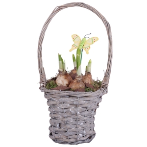 Bulbs Arr. Narcis Willow Handle Basket Grey Ø15cm