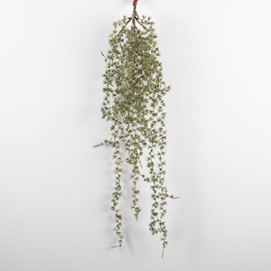 AF Cypres Hng 89cm Natur+Glit