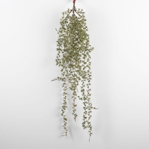 AF Cypres Hng 89cm Natur+Glit