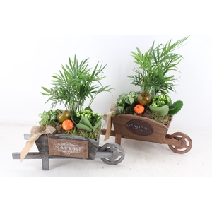 arr2 TD - Houten kruiwagen - wit