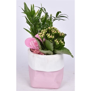 Cement pot roze met wit rand 11,5cm