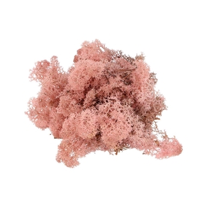 Mos Iceland Lichtroze 500 Gram