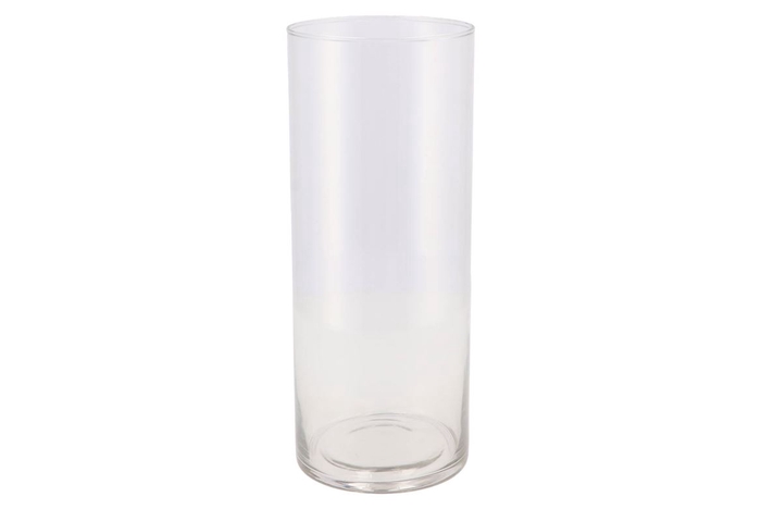 <h4>Glass Cylinder Silo 12x30cm</h4>