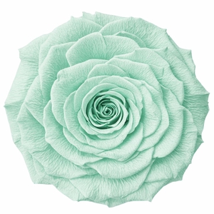 Ro Pres Xl Green Mint