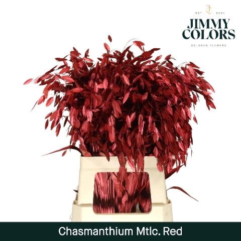 Chasmanthium L70 Mtlc. Rood