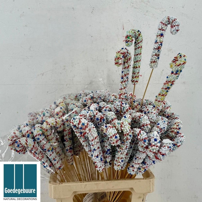 <h4>HUIS EN TUINDECO H%</h4>