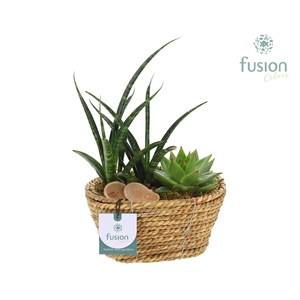 Mand zeegras ovaal Herfst met Arrangement