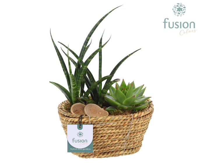 <h4>Mand zeegras ovaal Herfst met Arrangement</h4>