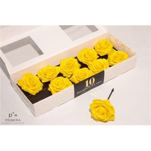 Roos Wax Zijde 820 Yellow