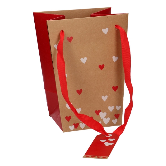 <h4>Love Bag Send Love d15/11*20cm</h4>