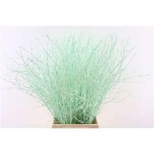 Berk 70cm Mint Green Bunch