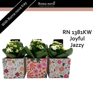 Kalan Rom 1381KW Joyful Jazzy