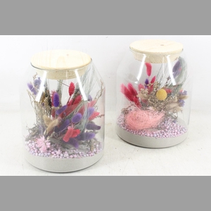 arr2 Droogbl. MB - Glas madrid 999/4