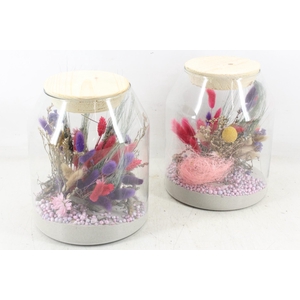 arr2 Droogbl. MB - Glas madrid 999/4