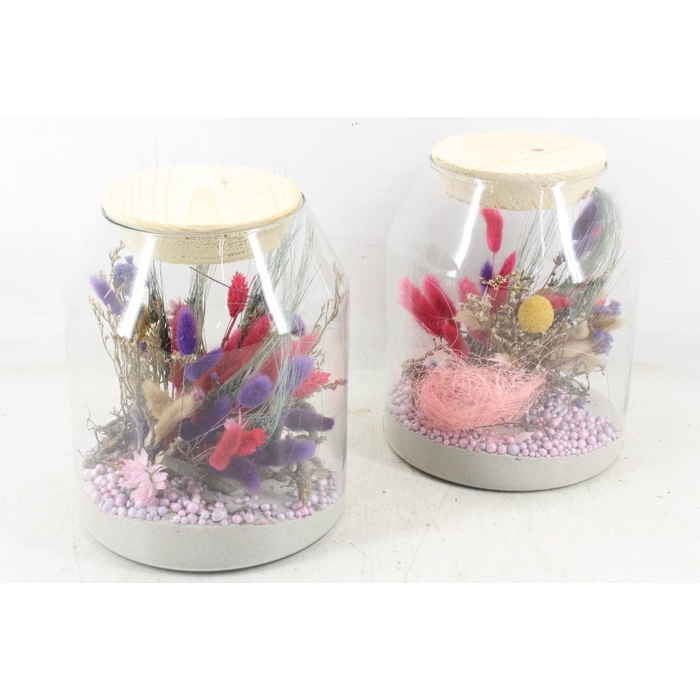 <h4>Arr2 Droogbl. Mb - Glas Madrid 999/4</h4>