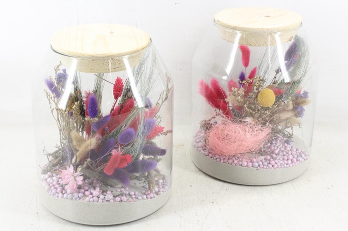 Arr2 Droogbl. Mb - Glas Madrid 999/4