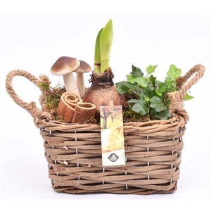 Wilg rechthoek 20x13.5cm