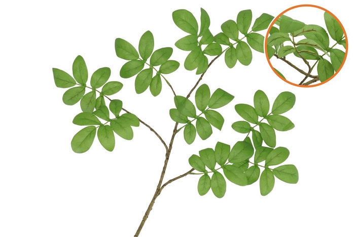 <h4>Silk Leaf Rowan Green 71cm Nm</h4>