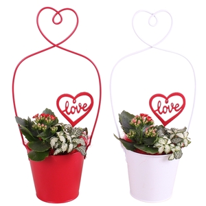 Valentine Arr. Indoor Metal Framepot + Heart Ø17cm 2PP