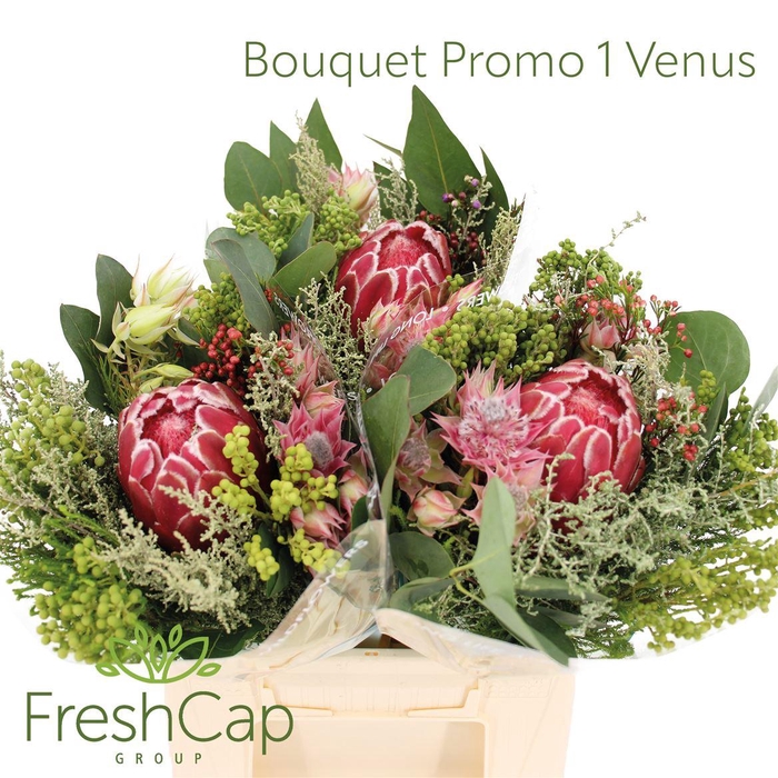 <h4>Bouquet Venus</h4>