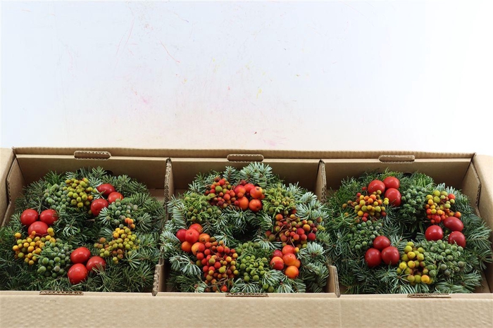 <h4>Wr Sierfruit Advent Christmas 30cm (anttar)</h4>