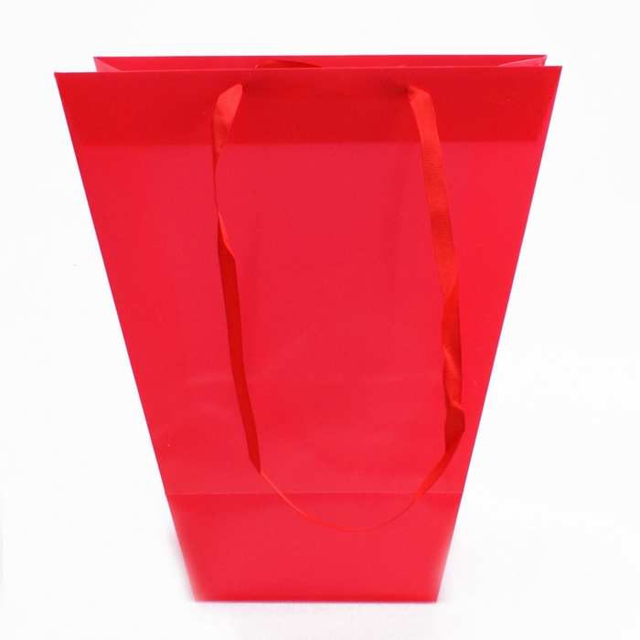 <h4>Bags Clear 24/11*26cm</h4>