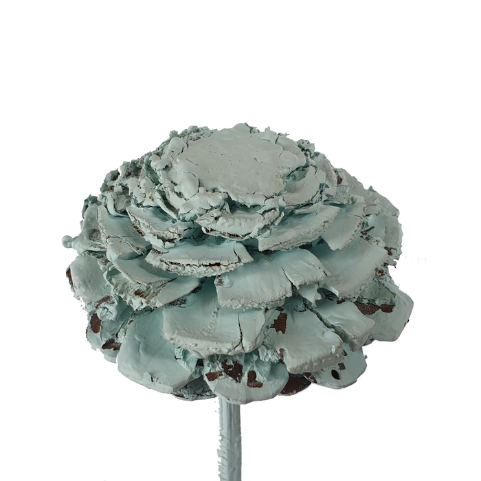 Pine cone cut 5-7cm on stem Frosted Light Blue