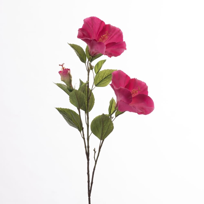 <h4>AF Hibiscus x3 L102cm Beauty</h4>
