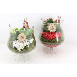 arr2 PL - Glas op voet - rood/wit