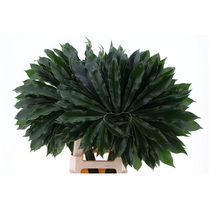 Philo Fun Bun Xl