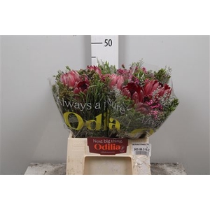Protea Bq 3 Flowers