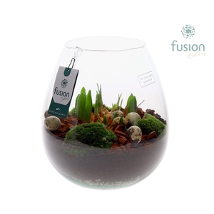 Green Bottle Abby Large Pasen met Bollen mix