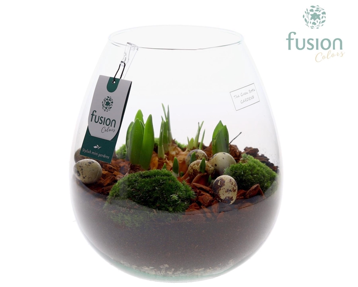 <h4>Green Bottle Abby Large Pasen met Bollen mix</h4>