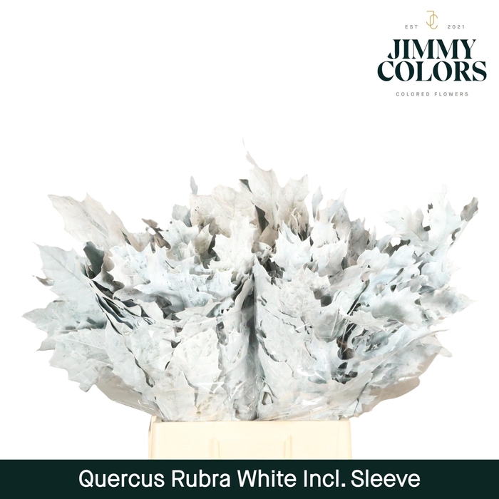 <h4>Quercus Rubra Sleeve L60 Wit</h4>