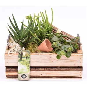 Hout rechth. met handvat 20x11cm