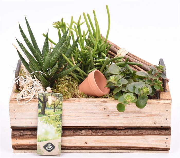 <h4>Hout rechth. met handvat 20x11cm</h4>