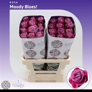 R GR MOODY BLUES!