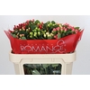 Hypericum Rainbow Romance Spray