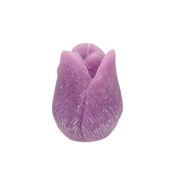 <h4>Candle Tulip Lila 9x11cm</h4>