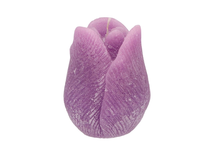 <h4>Candle Tulip Lila 9x11cm</h4>