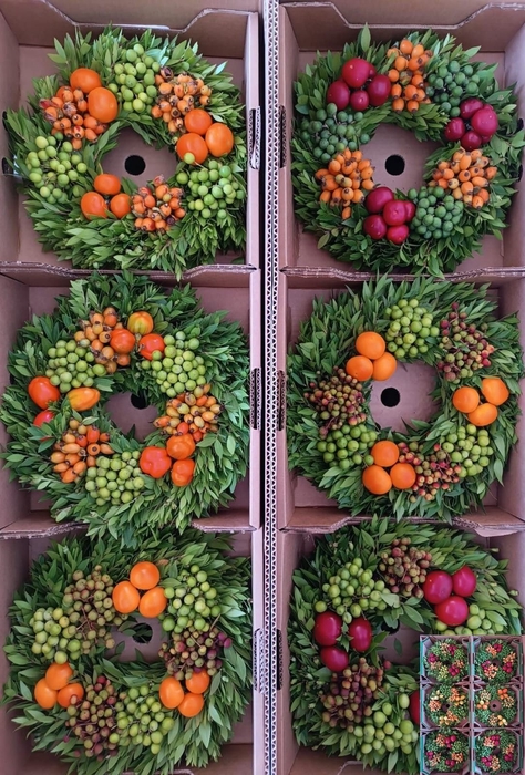 <h4>SIERFRUIT KRANS H%</h4>