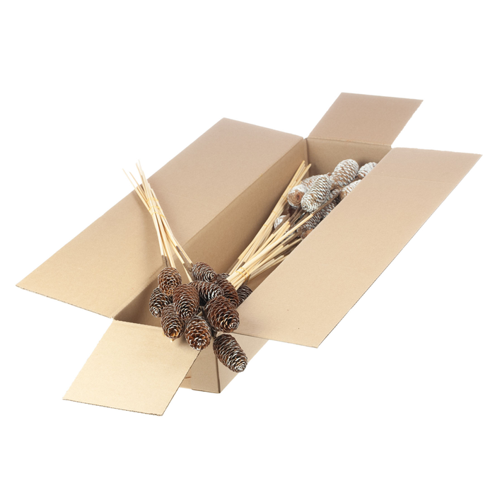 <h4>Spruce C O/s Sb Nat Wh Tp</h4>